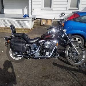 Meet your Posher, Matty